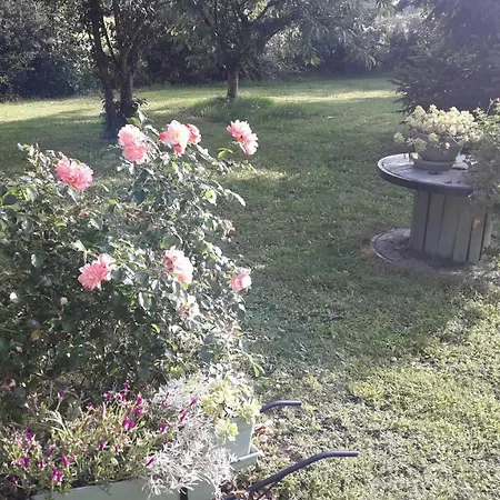 D'hote Avec Piscine Couverte * Coulaines